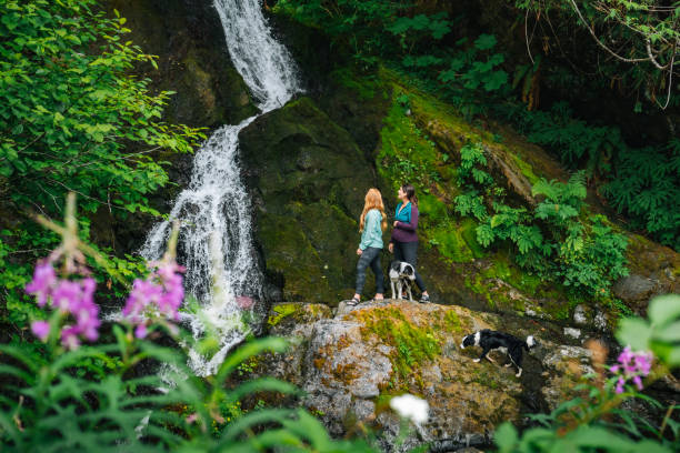 Young women with dog explore waterfall