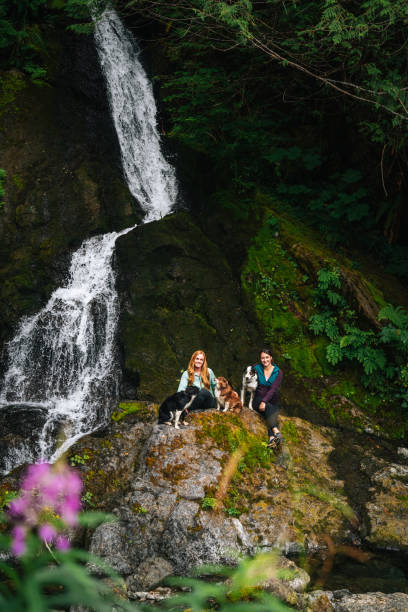 istock Young women with dog explore waterfall 2169297310