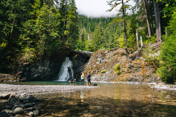 istock Young women with dog explore waterfall and pond 2169297477