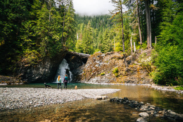 istock Young women with dog explore waterfall and pond 2169297479