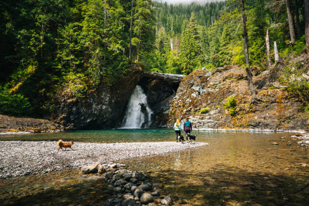 Young women with dog explore waterfall and pond