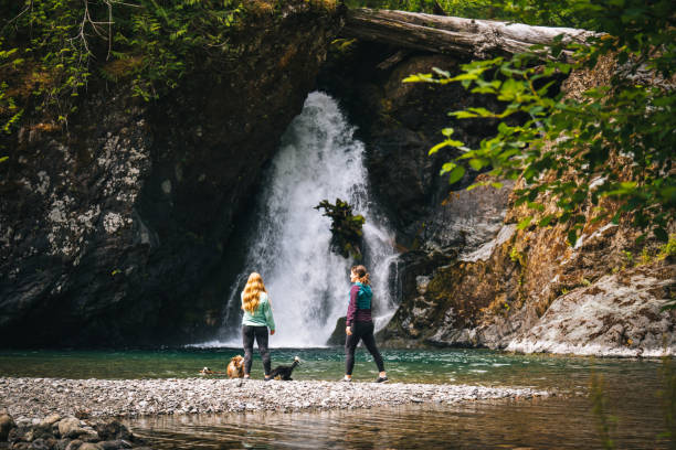 istock Young women with dog explore waterfall 2169297691