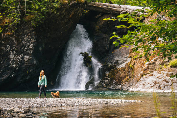 istock Young woman with dog explores waterfall 2169297693