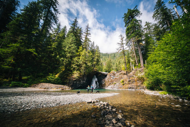 istock Young women with dog explore waterfall and pond 2169297799