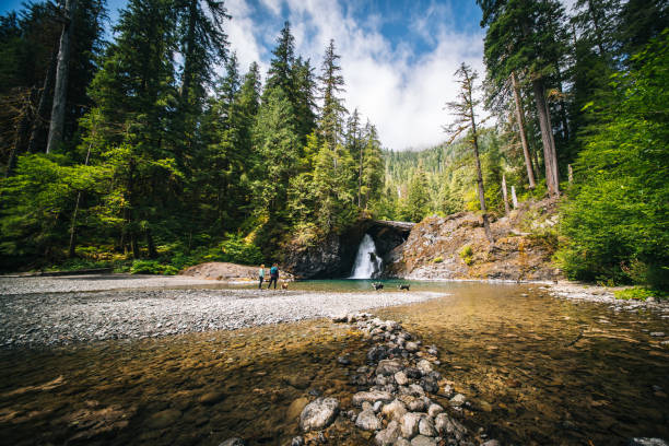 istock Young women with dog explore waterfall and pond 2169297907