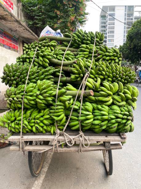 Tropical fruit on offer at a street market in Phu Quoc Island, Vietnam