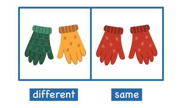 Same A 60+ Grammar Adjectives Stock Illustrations, Royalty-Free Vector ...