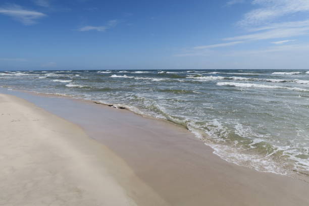 istock Waves on Sandhammaren beach in Scania 2169323247