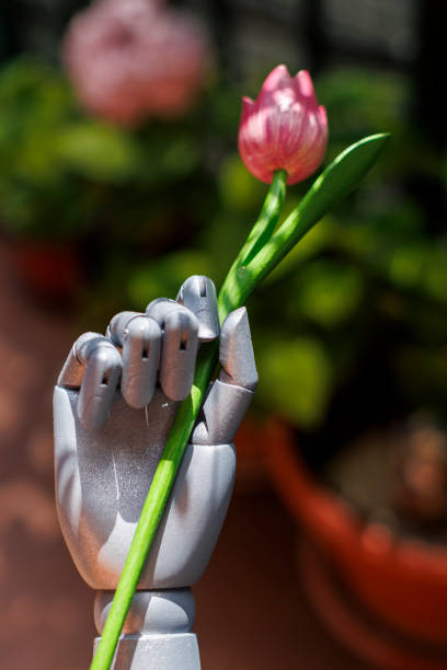 robotic hand holding a pink tulip in a garden setting during daylight