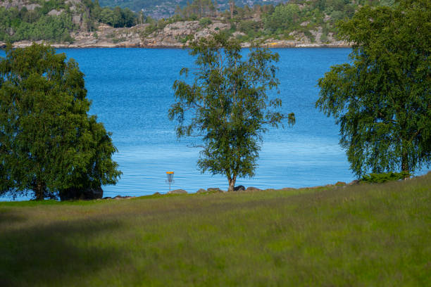 istock Disc golf target in a field by the sea. 2169329653