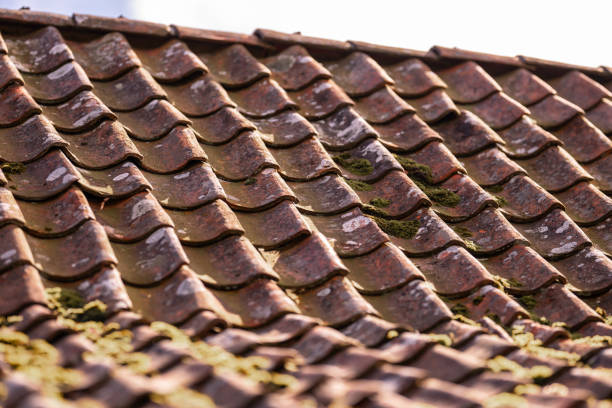 istock Moss growing on old roof tiles. 2169329991