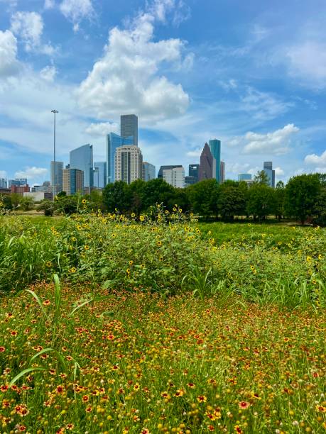 istock Beautiful view of downtown Houston, Texas 2169330459