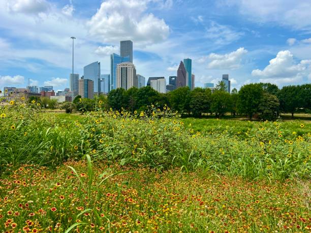 istock Beautiful view of downtown Houston, Texas 2169330469