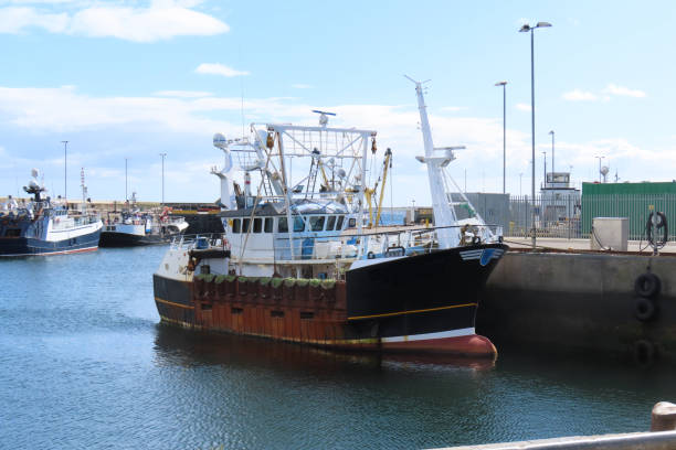 istock Cost and Harbour - Scotland / U.K. 2169331208