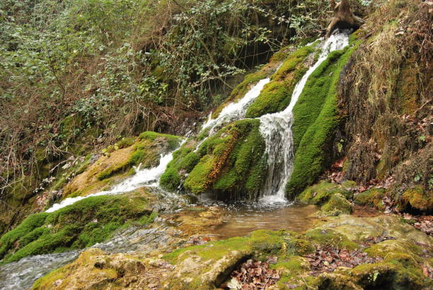 istock Waterfall of fresh water between moss and other vegetation in Cazorla, Andalucia 2169343426