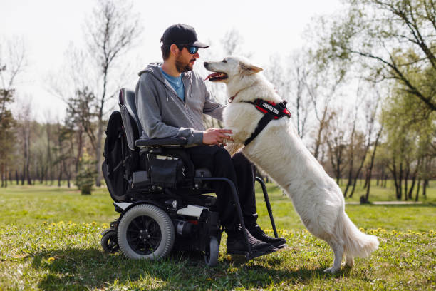 istock Man with disability with his service dog in park 2169345448