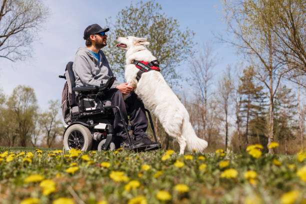 istock Man with disability with his service dog in park 2169345493