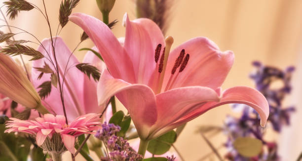 istock Colourful bouquet of  flowers 2169346518