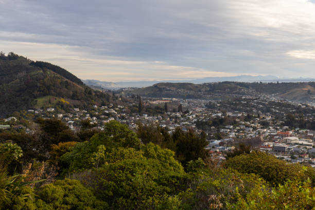 istock Nelson city aerial view 2169352470