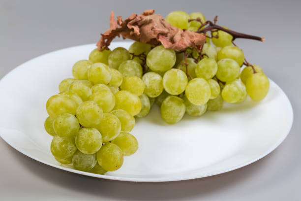 Long cluster of the ripe white sultana grape with dry vine leaf on white dish on a gray background, side view close-up in selective focus