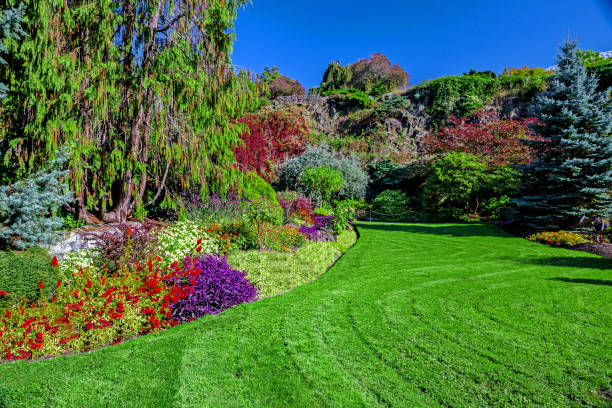 Fragment of  Queen Elizabeth  Park