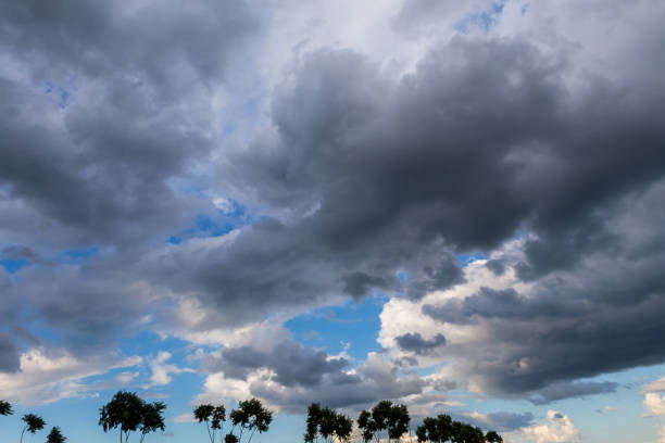 Section of the blue sky with different cumulus and rain clouds over the trees silhouettes at summer evening