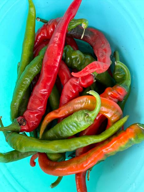 istock Farm fresh chili peppers 2169358524