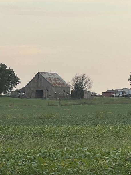 istock Wooden barn in field during sunset. 2169358623
