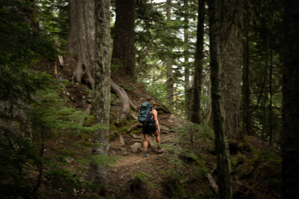 istock Focus on Woman Backpacking Through Blurry Pacific Northwest Forest 2169359196