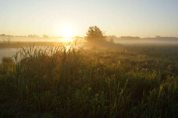 istock Misty dawn on the lake landscape reflection 2169363567