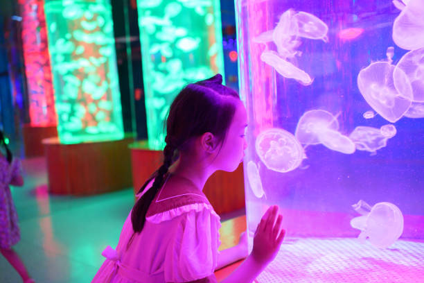 istock Little girl observing jellyfish 2169367006