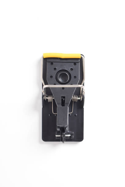 istock Steel Mouse trap on white background. Top view 2169372333