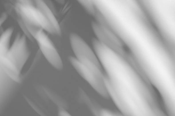 istock Studio style background wall decoration presentation uses white tones. with shadows cast from a nearby window, concept creating a decorative backdrop. 2169374799