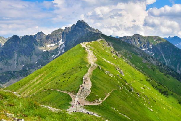 A hiking trail on Kasprowy Wierch A hiking trail on Kasprowy Wierch mountain in Polish Tatras high tatras stock pictures, royalty-free photos & images