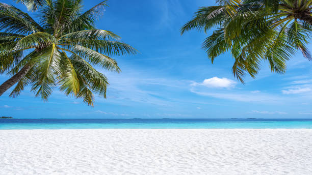 istock Tropical paradise beach scene for background or wallpaper 2169379129