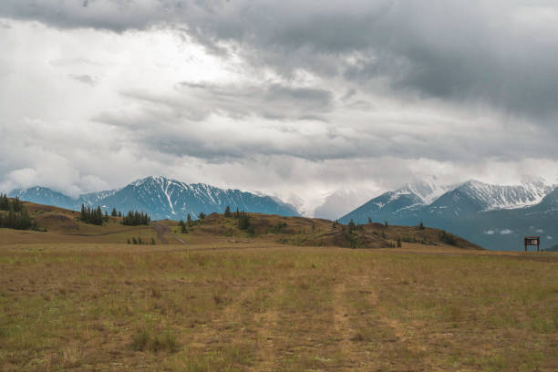 Dramatic Kurai Steppe landscape in the Altai Republic, Russia, with sunlit rolling slopes leading toward dark mountain peaks beneath heavy storm clouds. Strong light-and-shadow pattern and open sky provide copy space for travel, wilderness, and weather concepts.