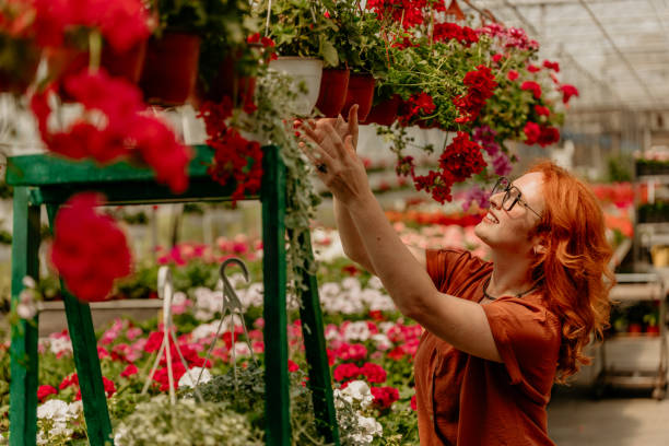 istock Working in a garden center 2169380175