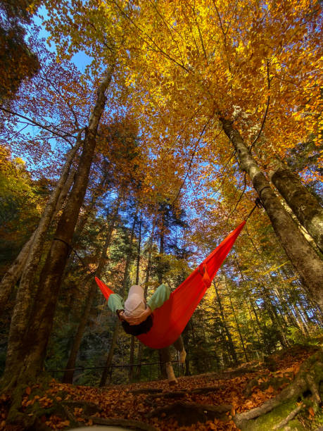 istock Relaxing in an Orange Hammock in Autumn Forest 2169382149