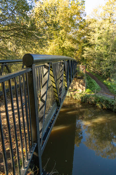 istock Single bridge on the river Wey Surrey England 2169396803