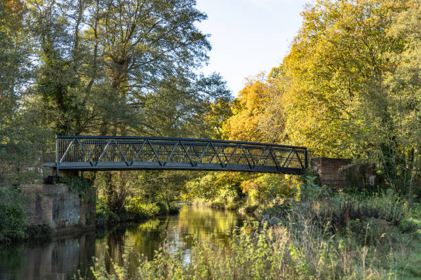 istock Single bridge on the river Wey Surrey England 2169396841