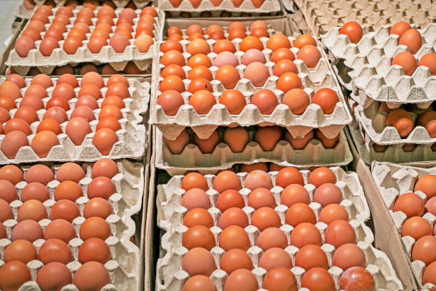 istock Chicken brown eggs in cardboard containers egg trays in a supermarket. Preparing for the Easter holiday. Economic crisis 2169402588