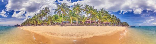 istock Panoramic picture of a deserted, palm-covered, tropical sandy beach 2169403601