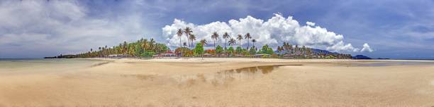 istock Panoramic picture of a deserted, palm-covered, tropical sandy beach 2169405631