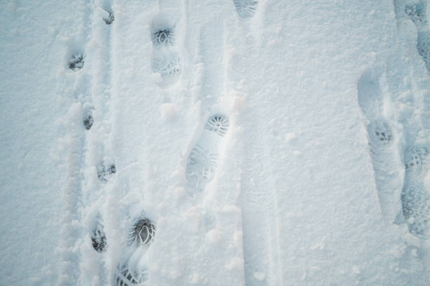 Footprints of Boots Inprinted into the Snow Cover During Winter