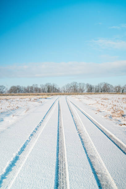 Field Path in a Winter Landscape with Tire Tracks Imprinted into the Cold Icy Snow
