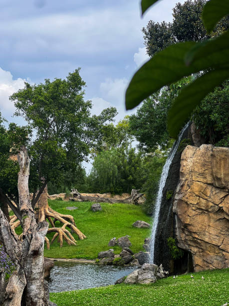 istock Biopark scenery, green trees, water 2169411162