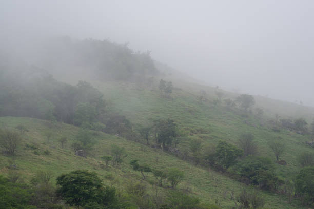 Kirigamine, a promenade shrouded in mist