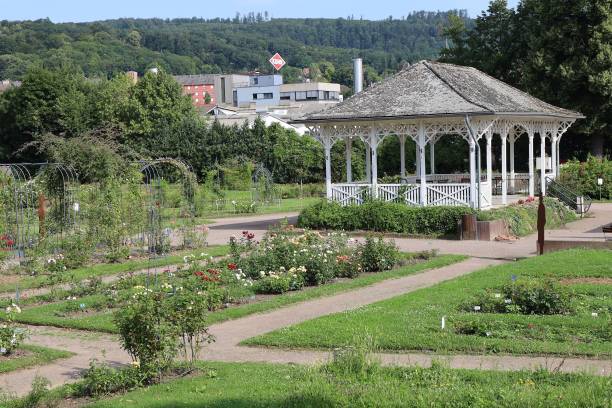 istock Saverne - Rose garden 2169420009