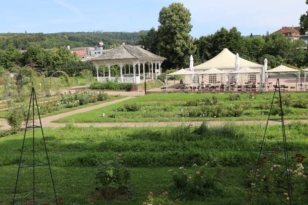 Rose garden, town of Saverne, Bas Rhin department, France