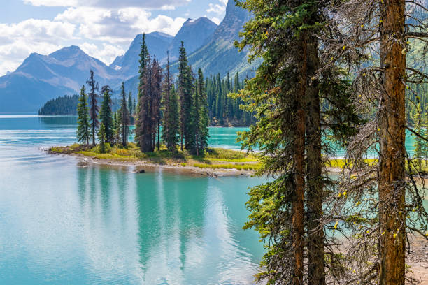 istock Spirit Island reflection, Jasper, Canada 2169421783